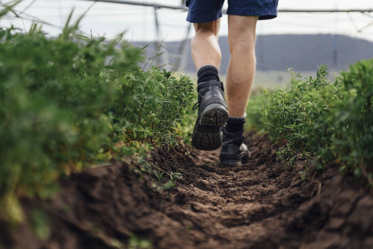 Photo showing Blundstone safety boots on a farm